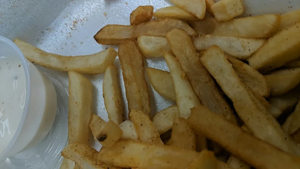 Seasoned Fries